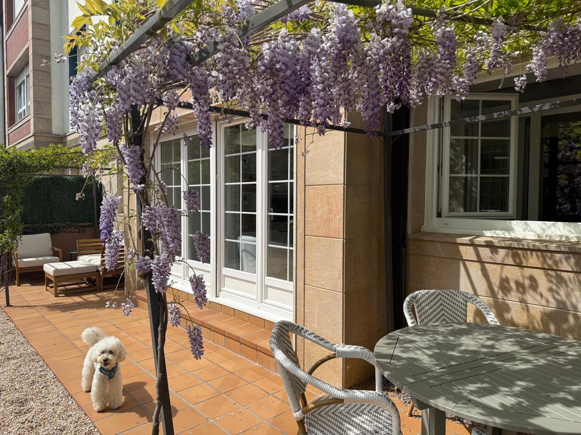 Bakea Apto Con Jardin Privado 巴基奥 外观 照片